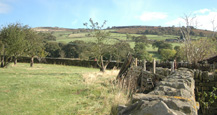 Brunthwaite Brunthwaite Cottage near Ilkley and Skipton Image 05